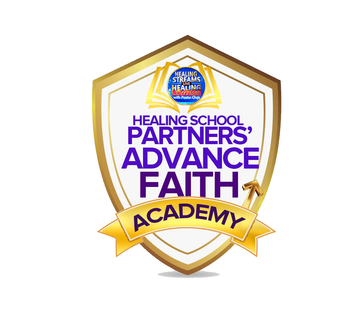 Healing School Partners' Advance Academy